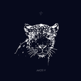 #08 - Akos V