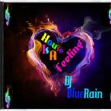 DJ BlueRain - House Is A Feeling