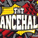 TnT DANCEHALL PROMO MIX
