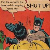 Cat plays drum and bass