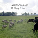 ASSID BASS LABZ - Of Sheep And Cow