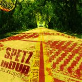 SPETZ IN DUB MIXTAPE #2