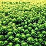 Simulacrum Summer
