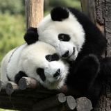 DJTRIAS - I THINK IS LOVE!