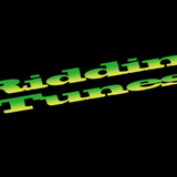 DJ SOLO - RIDDIM TUNES VJMIX VOL.4