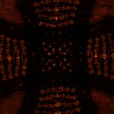 Doomed Choir