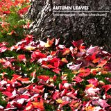 Brownsugar - Autumn Leaves