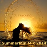 DJ Lunatic - SummerMiniMix 2014