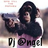 "Why Kill the Monkey" w/dj @ngel