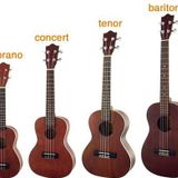 Le Plan Uke 11 (Juillet 2015)