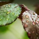 Paul Cue Summer Vs Autumn(Pure House Music)