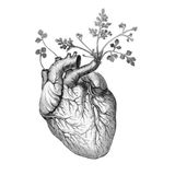 Heart in Nature Vol. 1