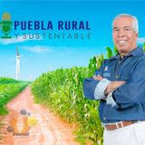 PUEBLA RURAL Y SUSTENTABLE 25 MARZO 2016