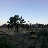 Palm Desert Mix by Angel FreQ