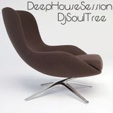 DeepHouseSessions..DjSoulTree -1.2.16