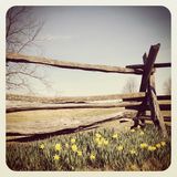 Spring 2013 // April II