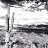 Desert Sky - Spring 2015 Deep House Mix by Elektra Tek