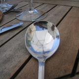 Spoon´s - Treibhauseffekt
