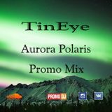TinEye - Aurora Polaris #003