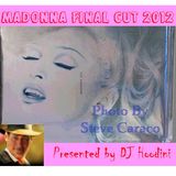 Madonna The Final Cut