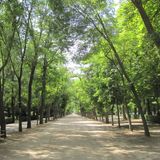 -- Paseo Por el Parque -- Dj Set