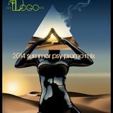 :::LeGo:::DjSet-2014 Summer Promo Mix(psy)