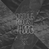 DIGICAST #003 | Rain