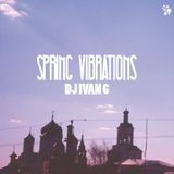 Spring Vibrations by Dj Ivan 6