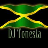 Reggae Riddemz