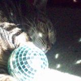 SCOTTSAYSMYOB JESSICA SIMPSON + DEAD OR ALIVE MIX: "YOU SPIN ME ROUND (LIKE A RECORD)"