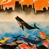 Whale City: music for jazz boating