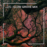 Eclectic Mix 06 - Dharit Hobbs Tan's Slow Grove Mix