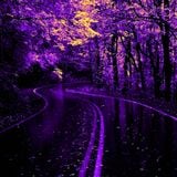 Sunset Boulevard by ianK (28.12.2015)