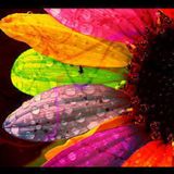 Promo Mix - 2013 February