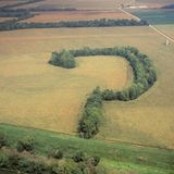 Forests, Freedom and Finance