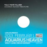 Tolo - Aquarius Heaven Tribute Mix (Jan 2013)