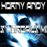 Horny Andy - Psy Breaks Mix