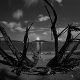 Looking for You: A WeirdwithBeard/ black_ops Collaboration