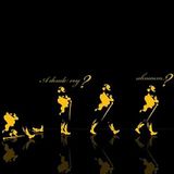 New Set Remix Dance 2013 By Tommy oOP