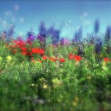 Springtime