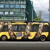 zoo project milou