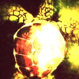 cosmic turtle uplifting @ plutonium klub ... salex