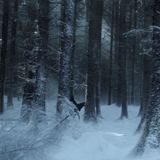 Episode 202: Winter Is Coming
