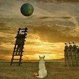 Quest for Transcendence
