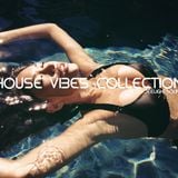 House Vibes Collection Vol. 1