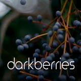 Darkberries Live Set - May 20th, 2014