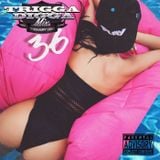 TRIGGA DIGGA MIX VOL. 36