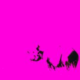 'The Eclectic Ladyland Liveshow' Vooruit Sessions 4.2