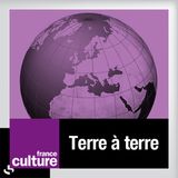 France Culture - Terre à terre 3
