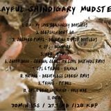 Playful Shindigary Mudstep Mix 3